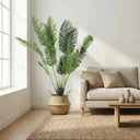 Pack Palmera Areca 180 cm + Cesto Mimbre 32 cm