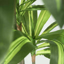 Planta Artificial Dracena 120cm
