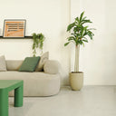 Artificial plant Dracaena 160