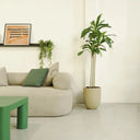 Artificial plant Dracaena 160
