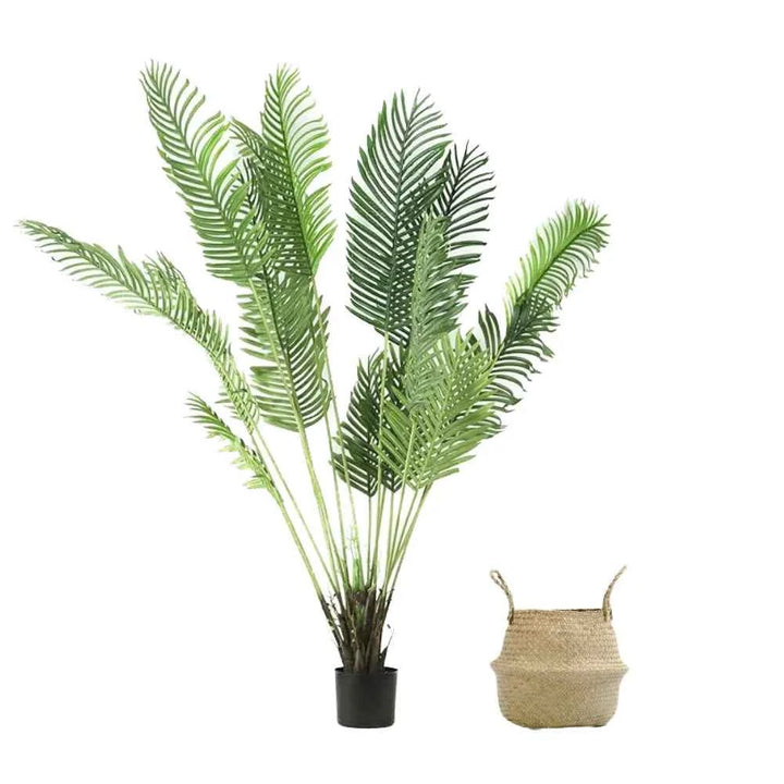 Pack Palmera Areca 180 cm + Cesto Mimbre 32 cm