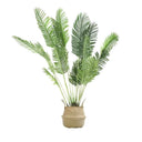 Pack Palmera Areca 180 cm + Cesto Mimbre 32 cm
