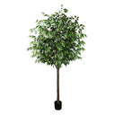 Pack Ficus 180 cm + Cesto Mimbre 32 cm | El Workshop