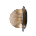 Roi Disc Wall Lamp - Black base and clear smoked glass