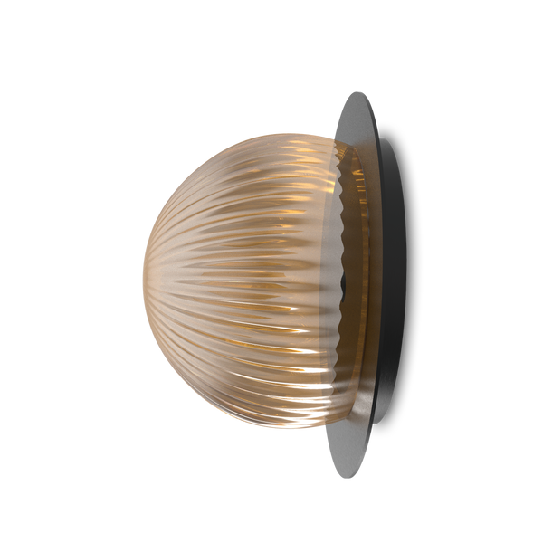 Roi Disc Wall Lamp - Black base and clear smoked glass