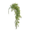 Planta Colgante HOJAS