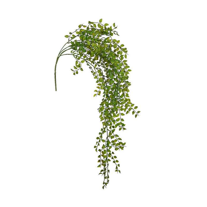 Planta Colgante HOJAS