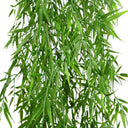 Planta Colgante BAMBU