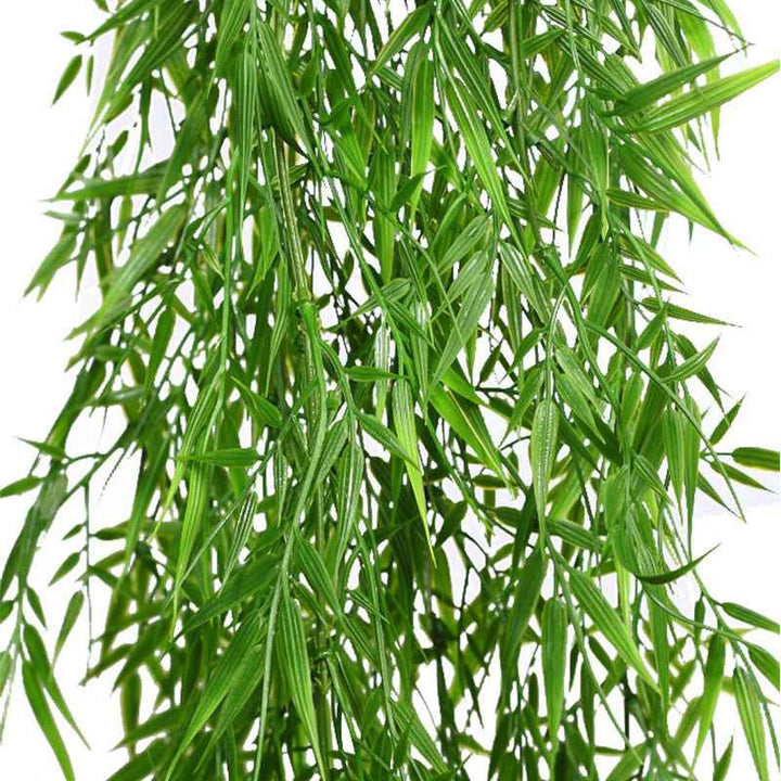 Planta Colgante BAMBU