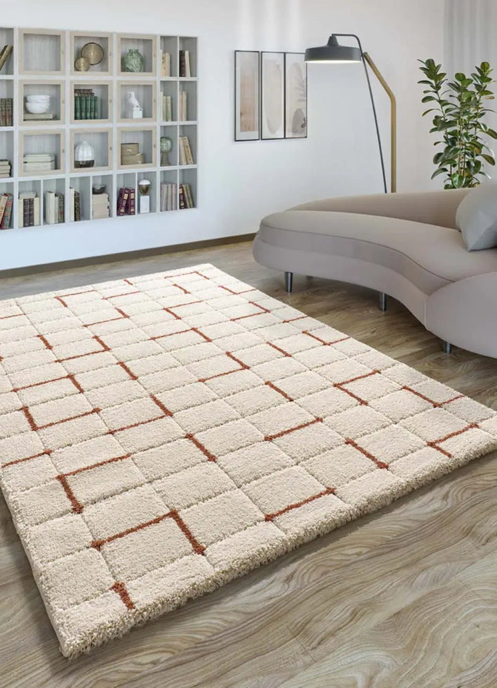 BRENDA 8834 SHAGGY RUG WITH A GEOMETRIC PATTERN IN WHITE