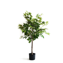 Artificial plant Ficus 105