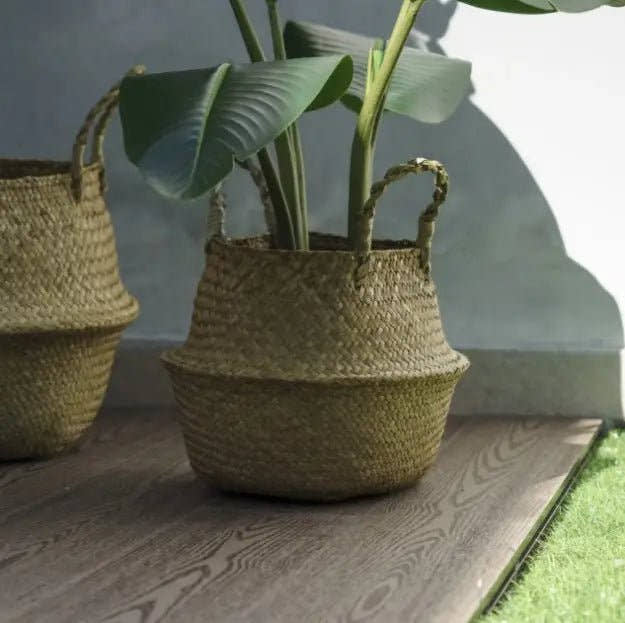 Maceta Mimbre – Cesto - Planta de interior - El Workshop - beige