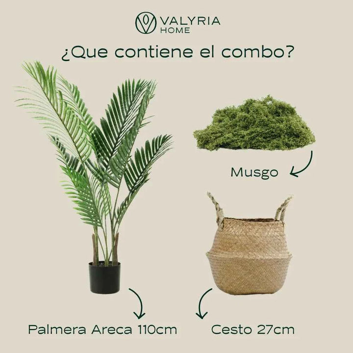 Pack Palmera Areca 110cm + Cesto Maceta 27cm + Musgo