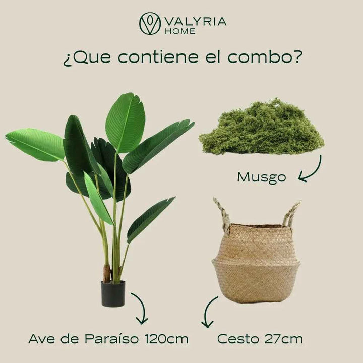 Pack Ave del Paraíso 120cm + Cesto Maceta 27cm + Musgo