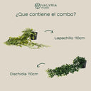 Planta Artificial Colgante con Maceta – Lapachillo 110cm + Dischidia 110cm