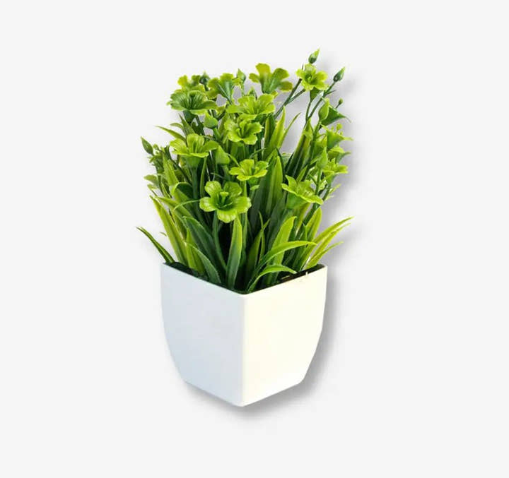 Planta pequeña Eucalipto X 4 unidades - Planta de interior - El Workshop - Verde