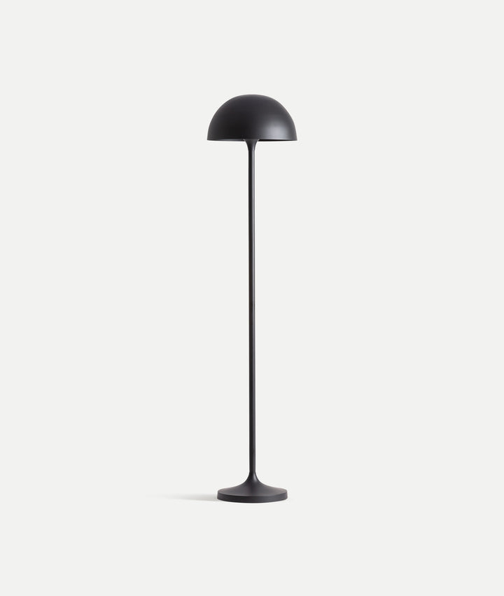 Modern and sophisticated black floor lamp