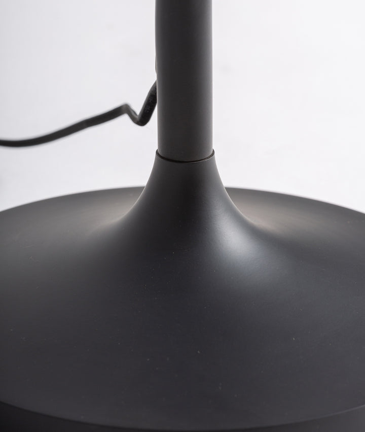 Modern and sophisticated black floor lamp