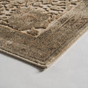 Alfombra de viscosa en tonos claros 340 x 240 cm – detalle