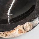 Cuenco decorativo de madera petrificada en tonos marrones – detalle
