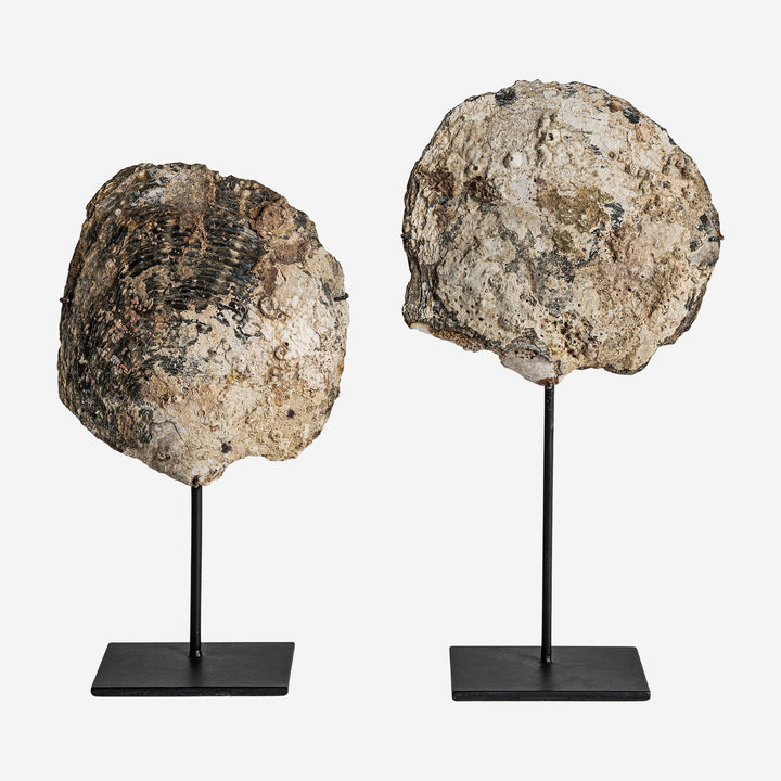 Figura decorativa de concha y hierro en tonos neutros 15 x 7 x 33 cm