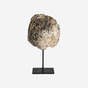 Figura decorativa de concha y hierro en tonos neutros 15 x 7 x 33 cm