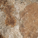 Figura decorativa de concha y hierro en tonos neutros 20 x 7 x 28 cm – detalle