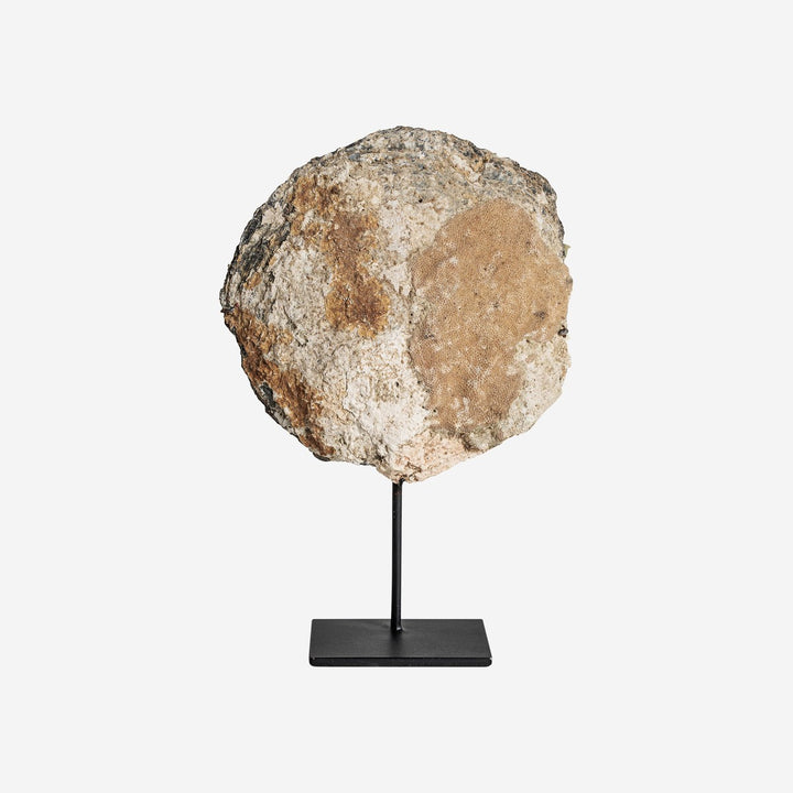 Figura decorativa de concha y hierro en tonos neutros 20 x 7 x 28 cm