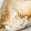 Figura decorativa de madera petrificada en tonos marrones – detalle