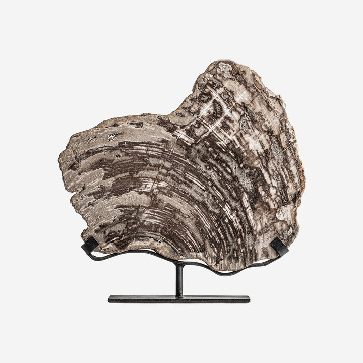 Figura decorativa de madera petrificada y hierro en color gris
