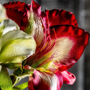 Flor artificial de plástico y poliéster (pack de 12) – detalle