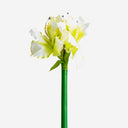 Flor artificial de plástico y poliéster (pack de 12) – Blanco
