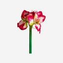 Flor artificial de plástico y poliéster (pack de 12)