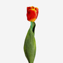 Flor artificial de plástico y poliéster (pack de 24) – Naranja