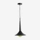Lámpara colgante de hierro en color negro de líneas contemporáneas