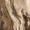 Mesa de centro de madera de suar en color marrón natural 65 x 57 x 40 cm – detalle
