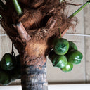 Planta artificial de plástico en color verde 71 x 550 cm – detalle