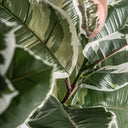 Planta artificial de plástico en color verde 75 x 178 cm – detalle