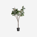 Planta artificial de plástico en color verde 75 x 178 cm