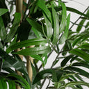 Planta artificial de poliéster en color verde 50 x 180 cm – detalle
