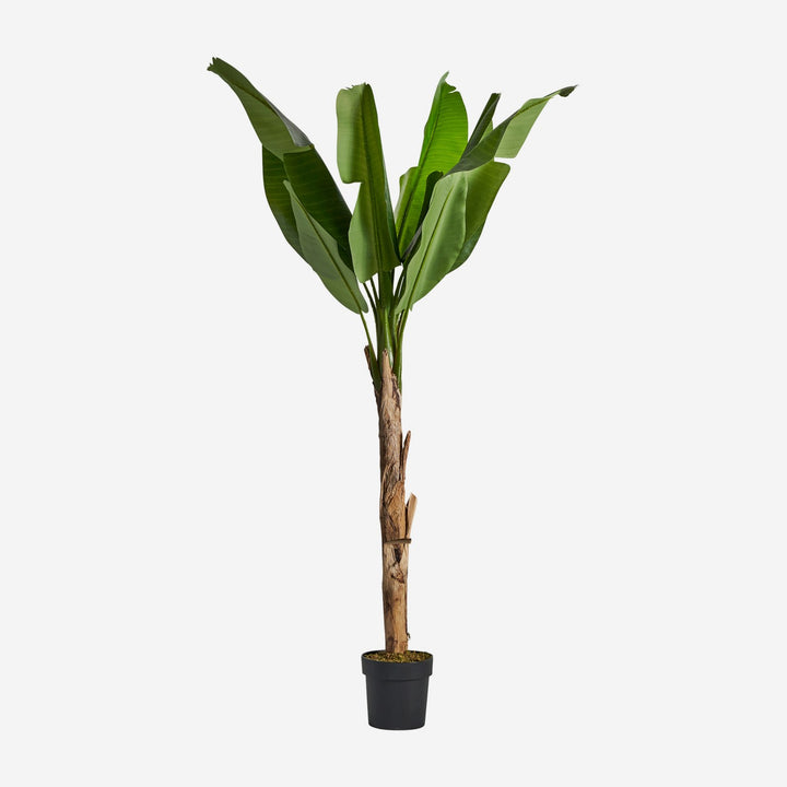 Planta artificial de poliéster en color verde 60 x 165 cm