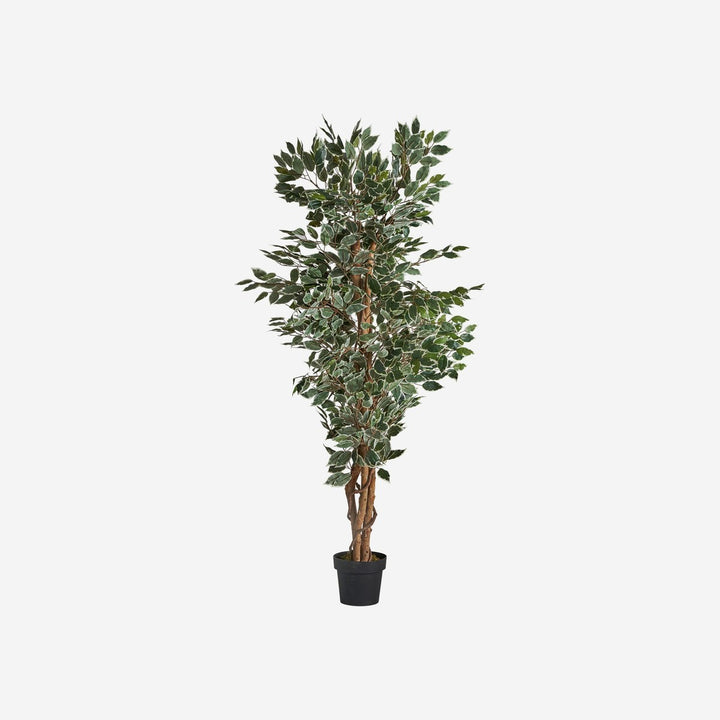 Planta artificial de poliéster en color verde 80 x 70 x 175 cm