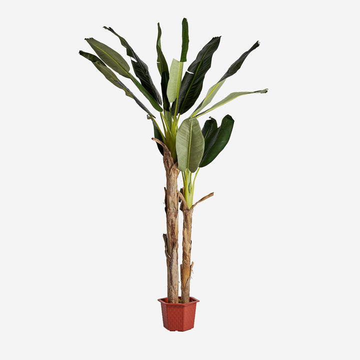 Planta artificial de poliéster y madera de teca en color verde