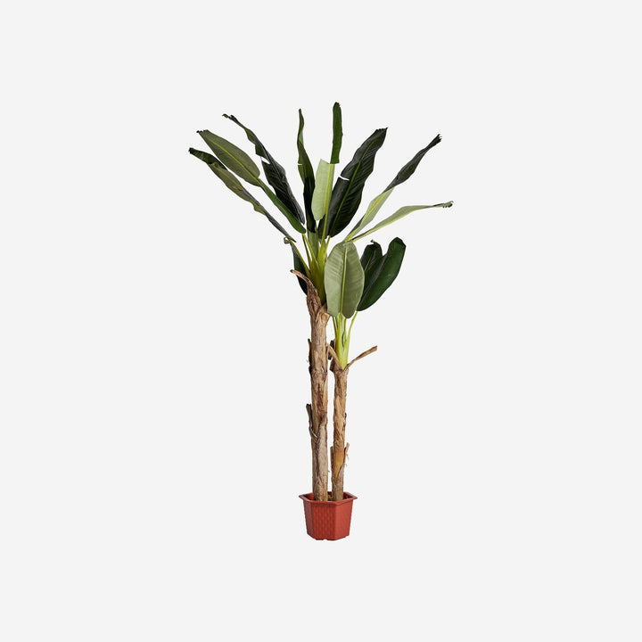 Planta artificial de poliéster y madera de teca en color verde