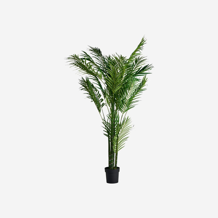Planta artificial de poliéster y plástico en color verde 40 x 50 x 210 cm