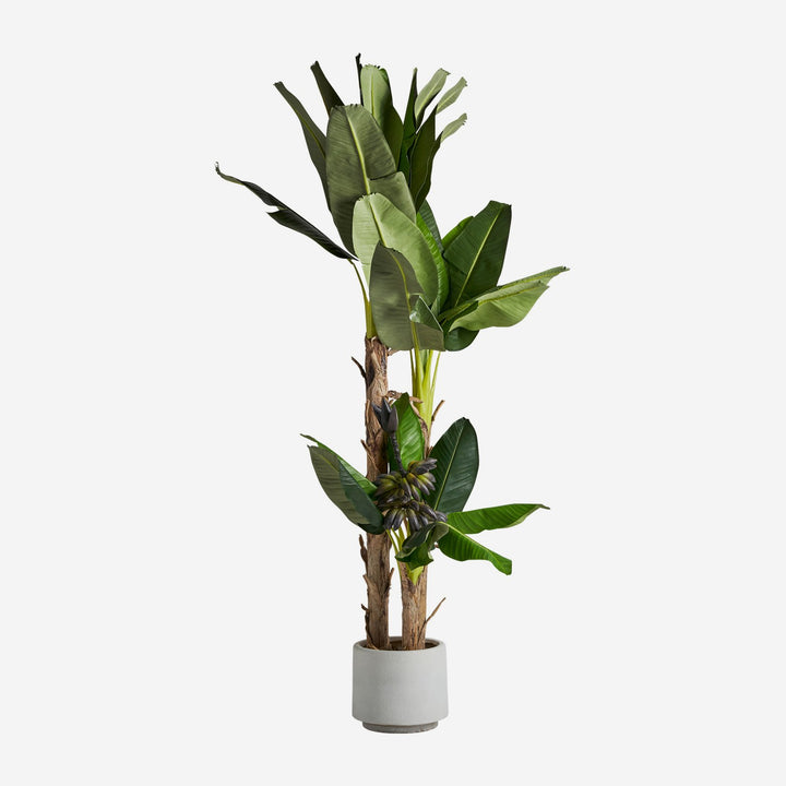 Planta artificial de poliéster y plástico en color verde 50 x 60 x 245 cm