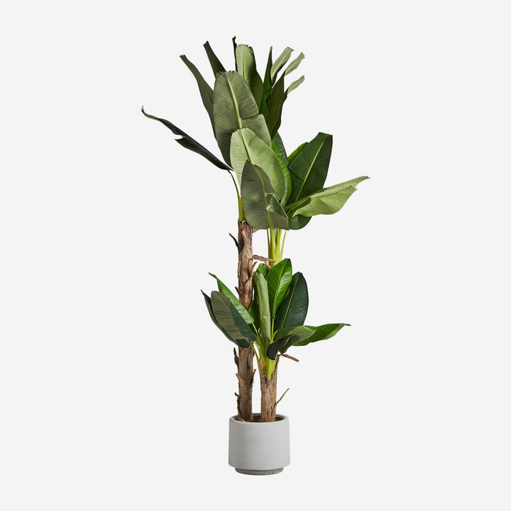 Planta artificial de poliéster y plástico en color verde 50 x 60 x 245 cm