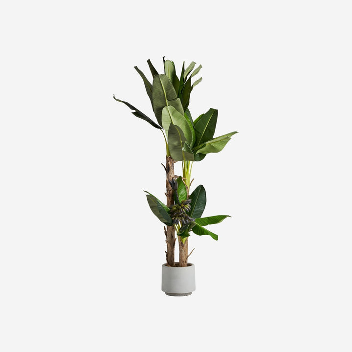 Planta artificial de poliéster y plástico en color verde 50 x 60 x 245 cm