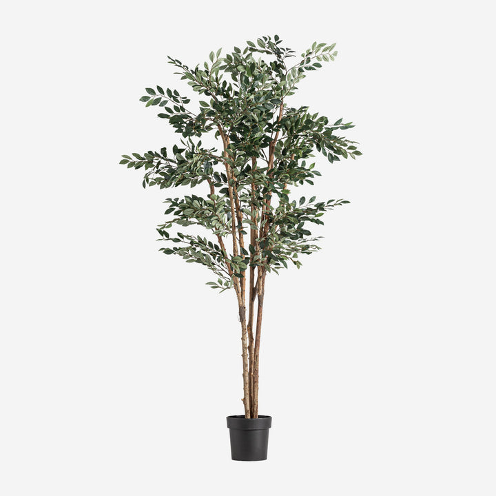 Planta artificial de poliéster y polietileno en color verde 90 x 210 cm