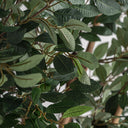 Planta artificial de poliéster y polietileno en color verde 90 x 210 cm – detalle